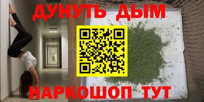 гашик Заводоуковск