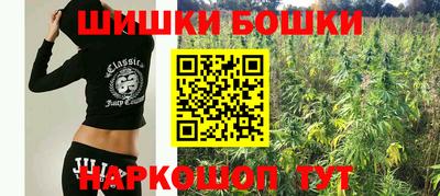 гашик Заводоуковск